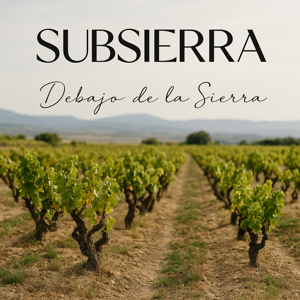 Inicio del viaje SUBSIERRA en Rioja Alavesa y Rioja Alta