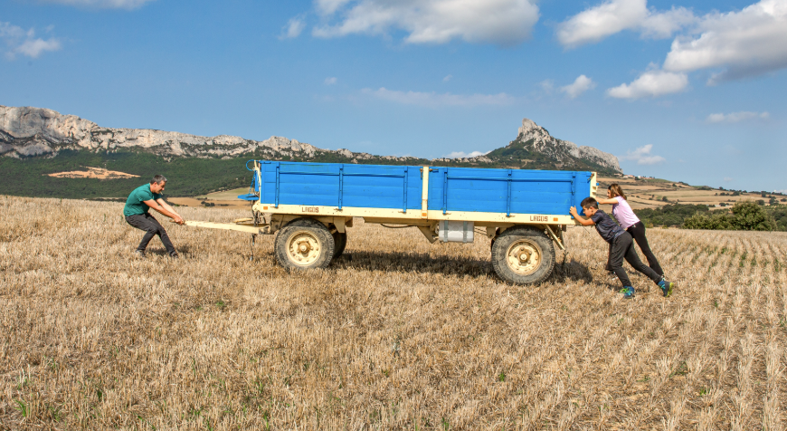 Retrato de Roberto Oliván en viñedo